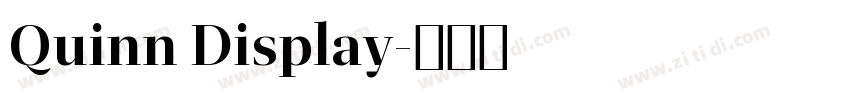 Quinn Display字体转换